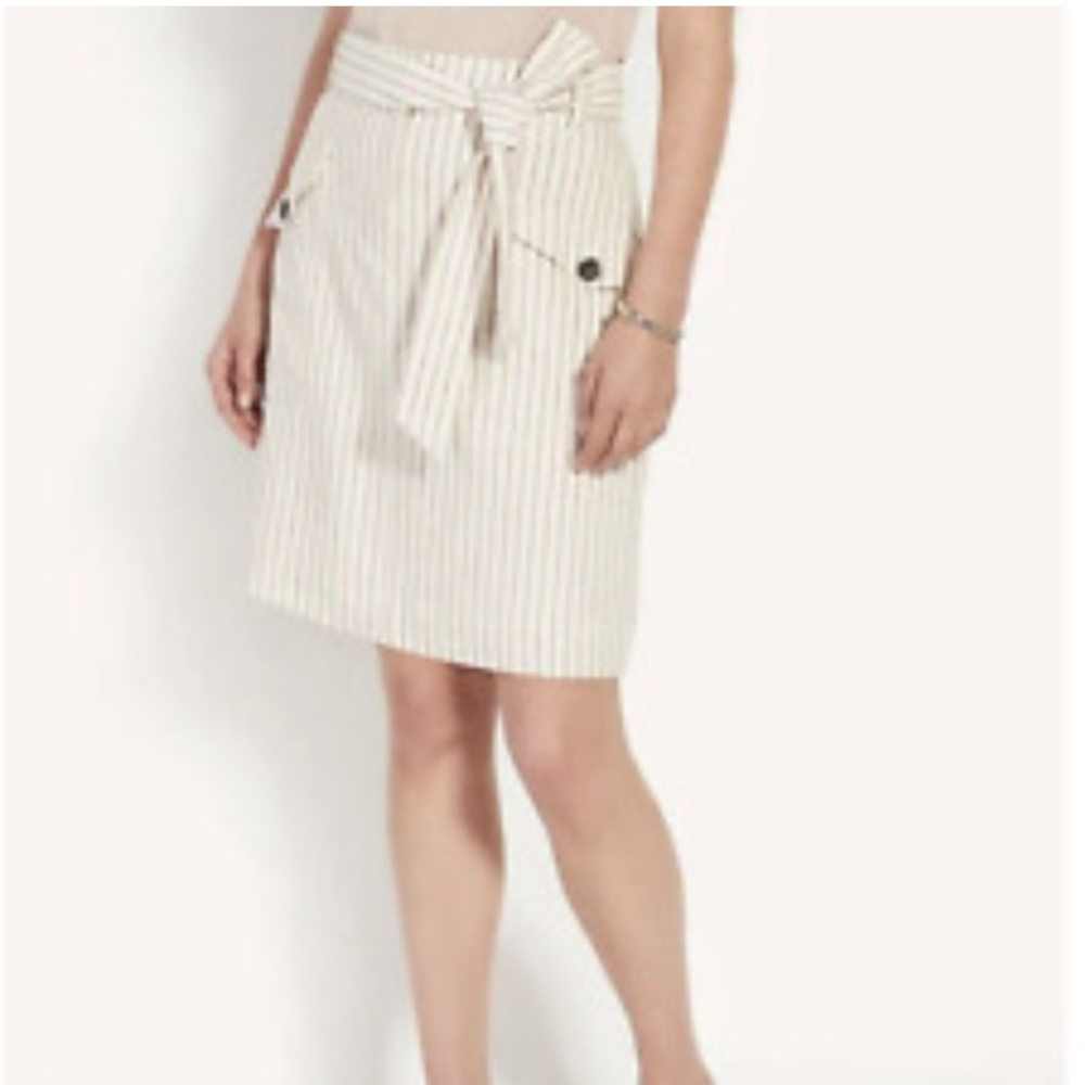 Ann Taylor skirt